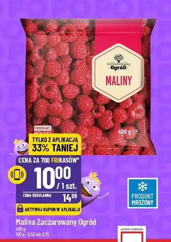 Polomarket Maliny Zaczarowany ogród oferta