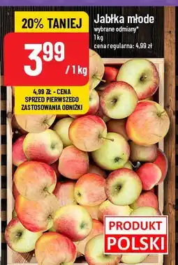 Polomarket Jabłka młode oferta