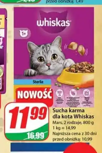 Dino Karma dla kota z łosośiem przepyszne paszteciki 1 SZT 800 G oferta