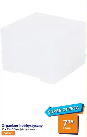 Action Organizer hobbystyczny oferta