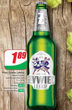 Dino Piwo Żywiec Lekkie oferta