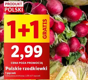 Lidl Rzodkiewka oferta