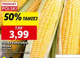 Lidl Kukurydza oferta