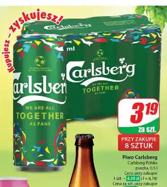 Dino Piwo Carlsberg oferta