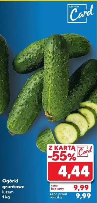 Kaufland Ogórki gruntowe oferta