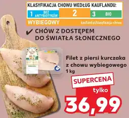 Kaufland Filet z piersi kurczaka z chowu wybiegowego oferta