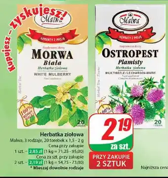 Dino Herbatka ostropest plamisty Malwa tea oferta