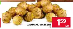 Stokrotka Ziemniaki wczesne oferta
