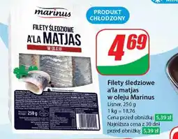 Dino Filety śledziowe a la matjas w oleju oferta