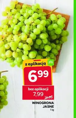 Stokrotka Winogrona jasne oferta
