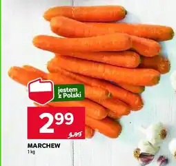 Stokrotka Marchew polska oferta