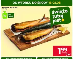 Stokrotka Makrela wędzona oferta