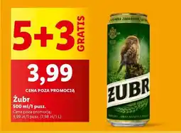 Lidl Piwo Żubr 1768 oferta