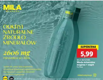 Lidl Woda mila Muszyna oferta