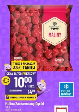 Polomarket Malina Zaczarowany Ogród oferta