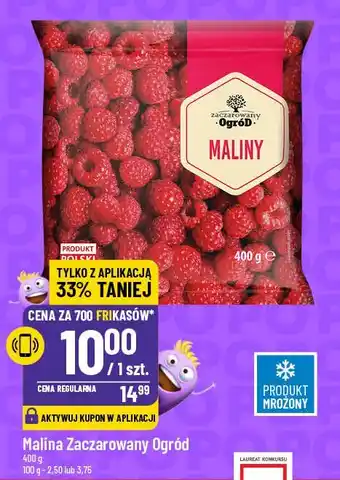 Polomarket Malina Zaczarowany Ogród oferta