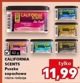 Kaufland Odświeżacz capistrano coconut California Scents oferta