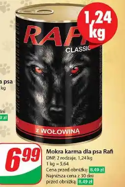 Dino Karma dla psa z wołowiną Rafi Classic oferta