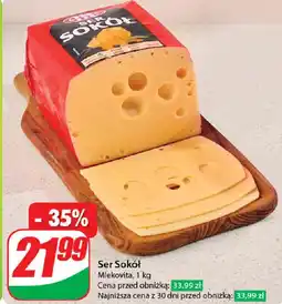 Dino Ser sokół Mlekovita oferta