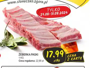 Słoneczko Zeberka paski oferta