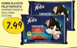 Karma dla kota Felix Fantastic