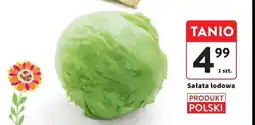 Intermarche Sałata lodowa oferta