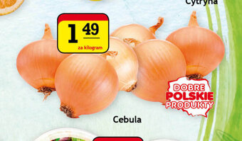Cebula 1kg