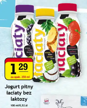 Gram Market Jogurt pitny łaciaty bez laktozy 250ml oferta