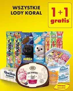 Lody Koral