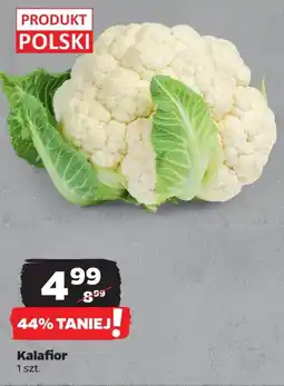 Netto Kalafior oferta