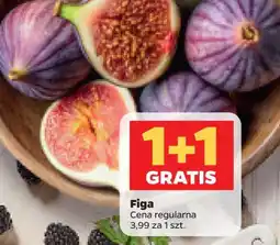 Netto Figi oferta