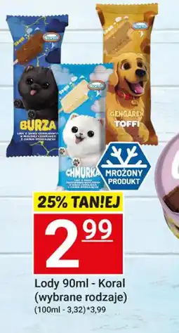 Hitpol Lody Koral oferta