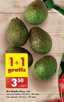 Biedronka Awokado hass oferta