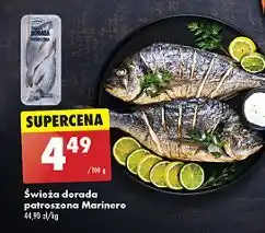 Biedronka Dorada patroszona świeża Marinero oferta