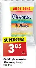 Biedronka Gąbki do masażu Oceania oferta