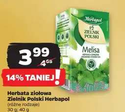 Netto Herbatka melisa Herbapol Zielnik Polski oferta