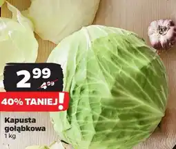 Netto Kapusta gołąbkowa oferta