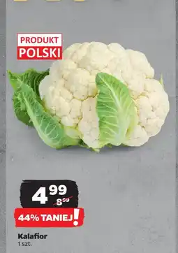 Netto Kalafior oferta