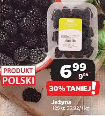 Netto Jeżyny polska Z ZIELENIAKA NETTO oferta