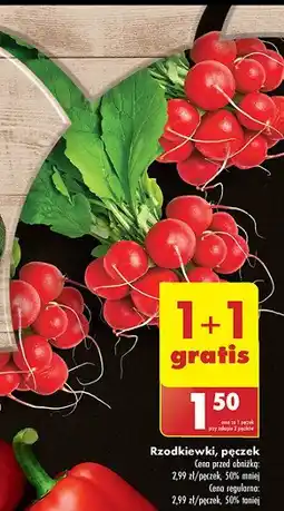 Biedronka Rzodkiewka oferta