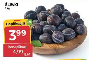 Stokrotka Śliwki oferta