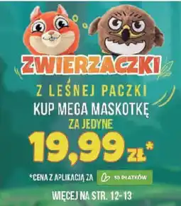 Zwierzaczki z leśnej paczki