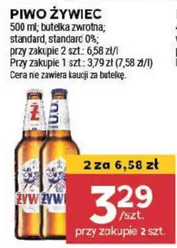 Stokrotka Piwo Żywiec oferta