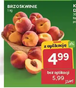 Stokrotka Brzoskwinie oferta