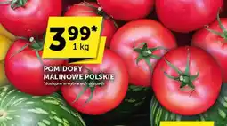 ABC Pomidory oferta