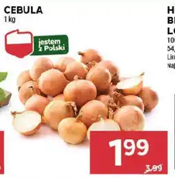Stokrotka Cebula oferta
