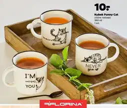 Netto Kubek funny cat 380 ml Florina (Florentyna) oferta