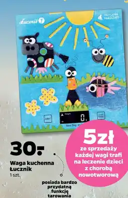 Netto Waga kuchenna Łucznik oferta