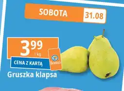 E.Leclerc Gruszka klapsa oferta