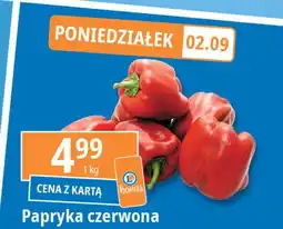 E.Leclerc Papryka czerwona oferta